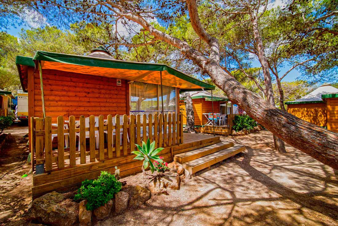 Camping Cala Nova en Ibiza