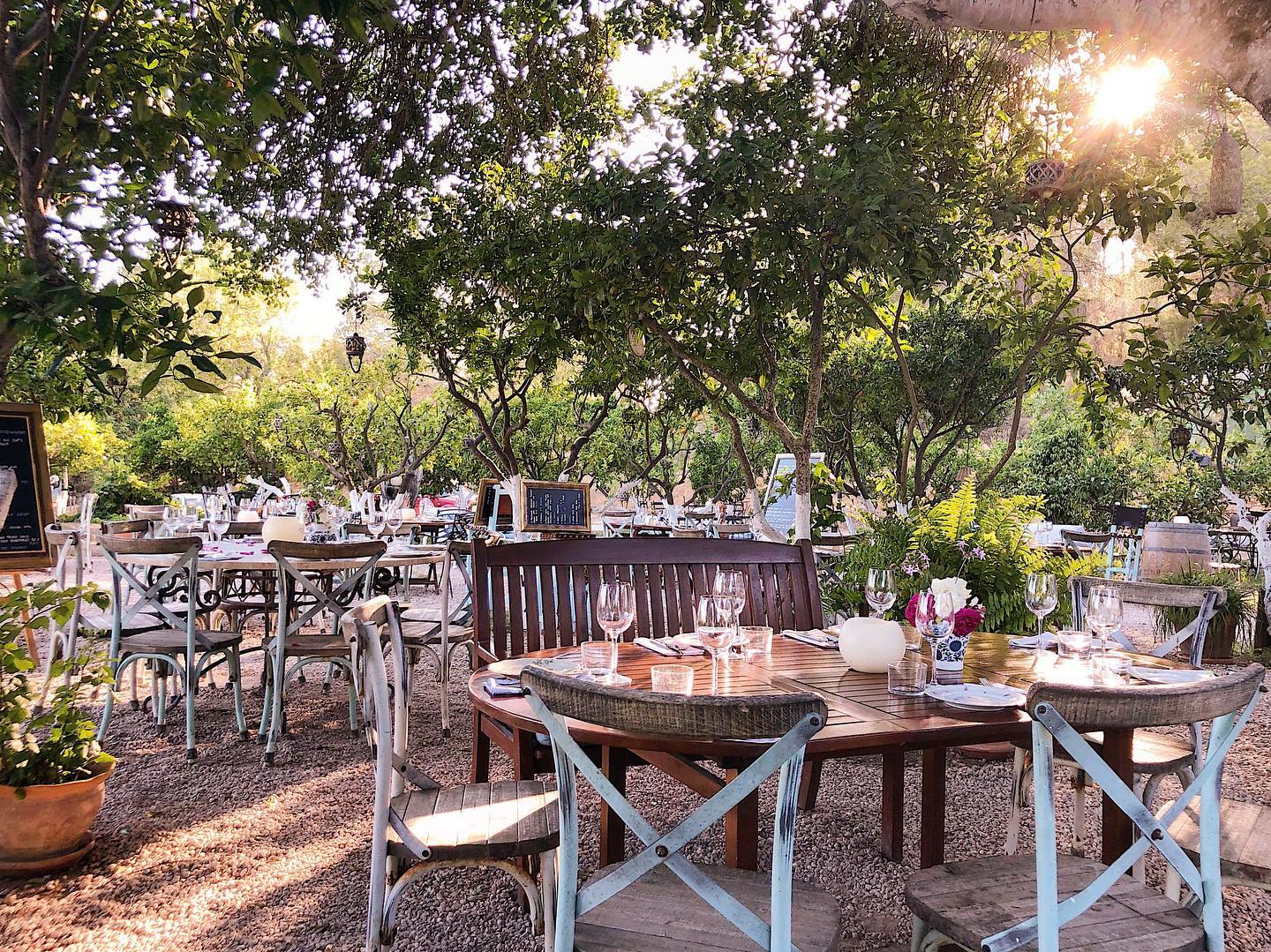 Restaurante Ibiza La Paloma